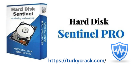 Hard Disk Sentinel Pro 6.01 Crack+Serial Key Free Download 2024